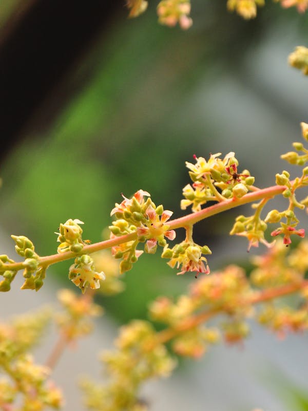 Stratford Wrap Dress