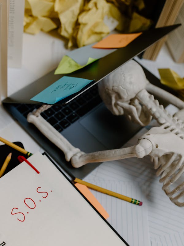 Kidderminster Stripe Shirt