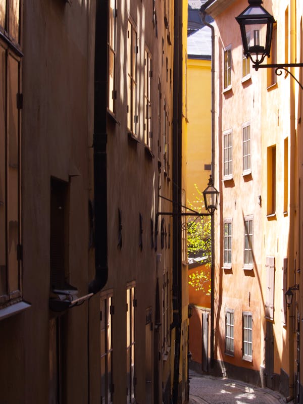 Bromsgrove Floral Dress